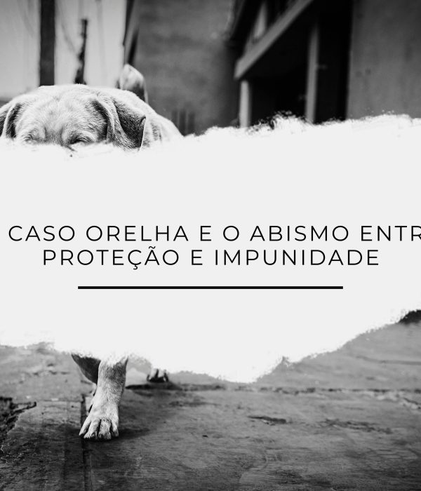 0fb5b04e-f46b-4134-93d3-f8ff42eb73c2